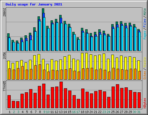 Daily usage for January 2021