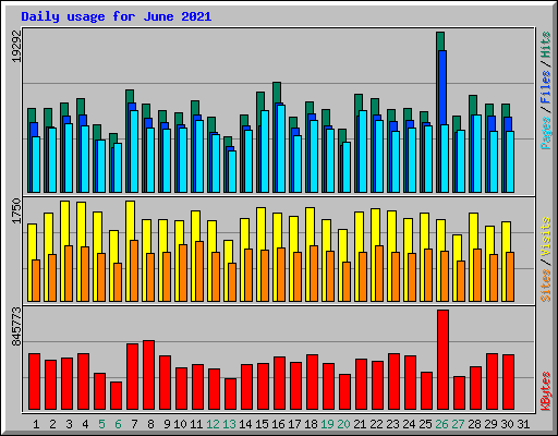 Daily usage for June 2021