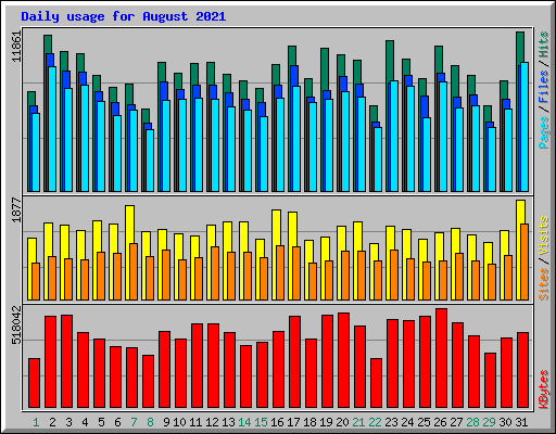 Daily usage for August 2021