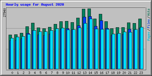 Hourly usage for August 2020