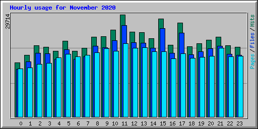 Hourly usage for November 2020