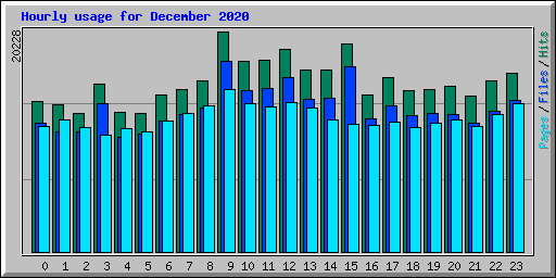 Hourly usage for December 2020