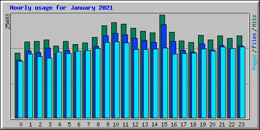 Hourly usage for January 2021