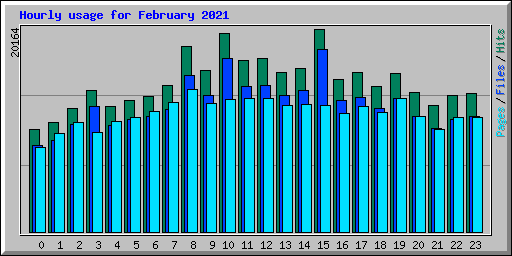 Hourly usage for February 2021