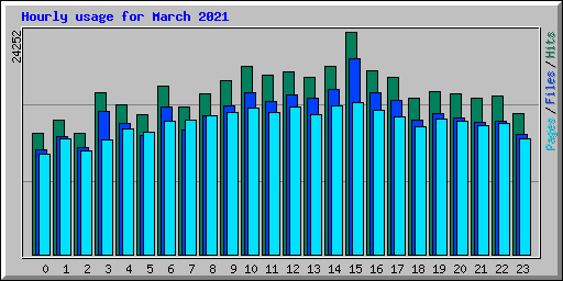 Hourly usage for March 2021