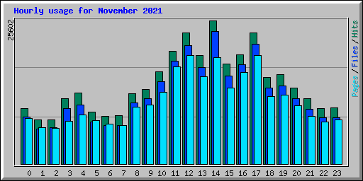 Hourly usage for November 2021
