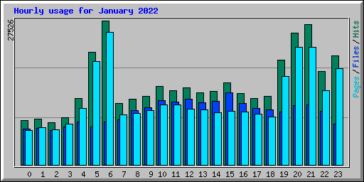 Hourly usage for January 2022