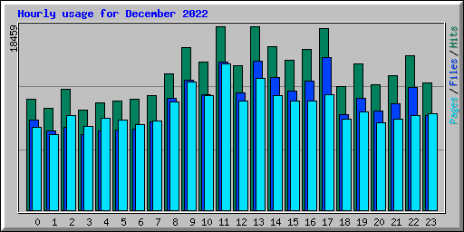 Hourly usage for December 2022