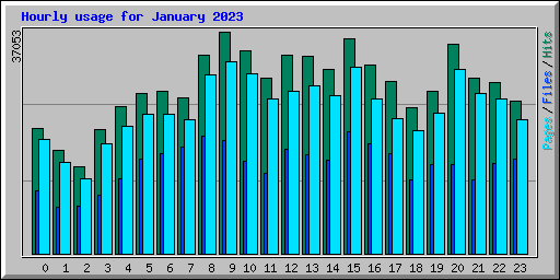 Hourly usage for January 2023